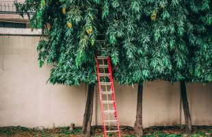 Tipos y usos de escaleras de jardín
