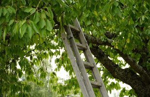 escalera_de_madera_1