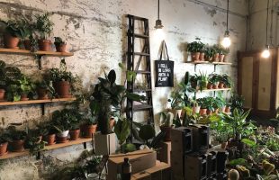 Adiós a los accidentes, hola a la productividad: Elige la escalera adecuada