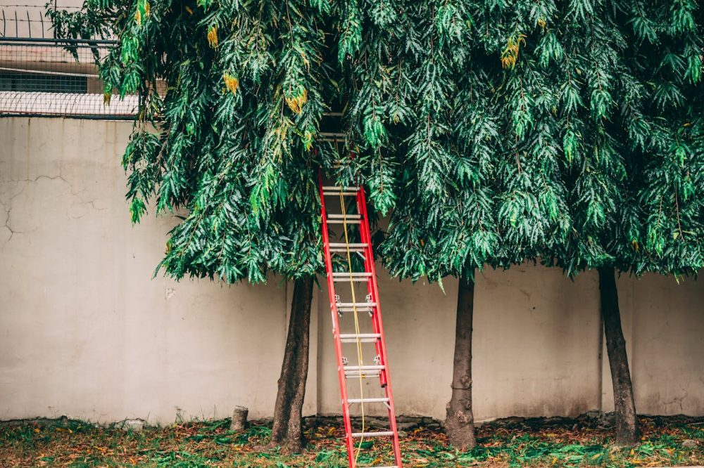 Guía completa de mantenimiento de tu escalera: Alarga su vida útil y garantiza tu seguridad 